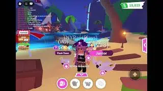Roblox Adopt Me Pirate Avatars for Friday Summer Update!