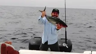 Yellowfin Tuna, Bluefin Tuna and Yellowtail The Reel Brothers Presents