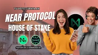 Cómo participar en la gobernanza de NEAR | Guía rápida de House of Stake en Español
