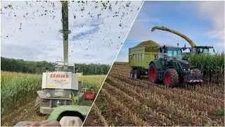 FarmVlog#142 - Maishäckseln für 2023 abgeschlossen!