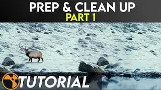 Nuke Prep & Clean Up Tutorial | VFX
