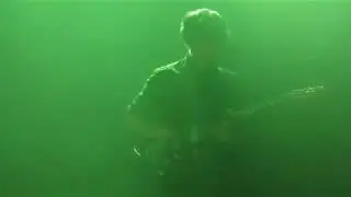 Дельфин | Dolphin - Весна