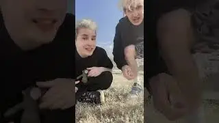 Петрашка и Некет|а вы подписаны на мой канал💙
