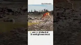 अगर एक टका मौका है तो अपनी पुरी ताकत लगा दें।#motivational