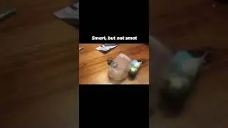 Smart, but not smart