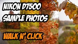 Nikon D7500 Sample Photos