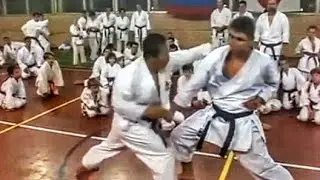 Master Class: The Speed of Masao Kagawa Sensei 🥋   