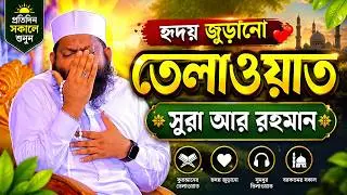 হৃদয় জুড়ানো তেলাওয়াতে মনকে শীতল করে Saidul Islam Asad Tilawat  ক্বারী সাইদুল ইসলাম আসাদ তেলাওয়াত