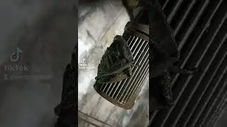 26 января 2023 г.