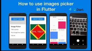How to use images_picker in Flutter (Comment utiliser images_picker dans Flutter)