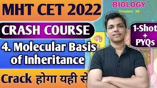 Biology MHT CET Crash Course 2022 || One Shot + PYQs Chapter 4 Molecular basis of Inheritance 