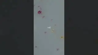 Утро в люксе Radisson