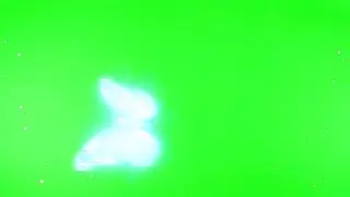 Flying Butterflies Green Screen