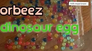 Orbeez  magic growing water ball /dinosaur egg growing in water 💧 공룡을 구슬 키우기 /공룡알 물속에서 부화 시키기.