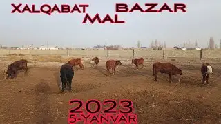 Xalqabat Mal Bazar/5-Yanvar/2023/Халкабат Мал Базар/Мал Базар 2023/Базар Арзанба?