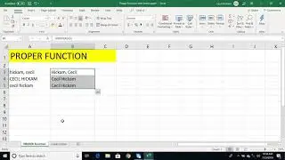 Excel: Proper, Lower, Upper Function