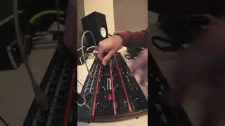 Behringer Grind - mini noodle - Added verb and delay #ableton