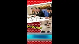 Putin's N. Korean REINFORCEMENTS; Troops JOIN Ukraine War!