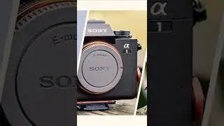 Talking about the Sony A9 and A9ii cameras. 
