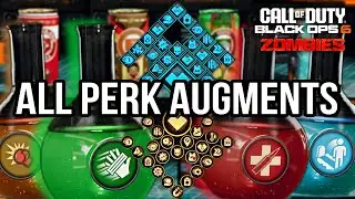 ALL 48 *PERK AUGMENTS* IN BLACK OPS 6 ZOMBIES EXPLAINED!