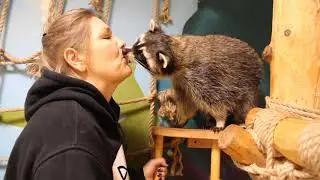 ПОЦЕЛУЙ С ЕНОТОМ! чем закончится?