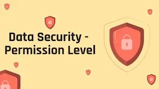 Data Security - Permission Level