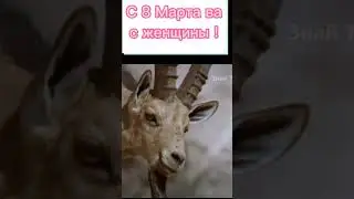 С праздником вас женщины!