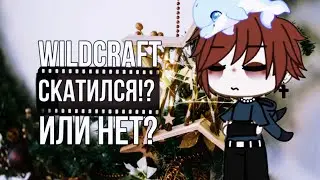 😱WILD CRAFT СКАТИЛСЯ!? ДА ИЛИ НЕТ!? ПОЧЕМУ Я УШЕЛ ИЗ WILD CRAFT'А!? ПОЧЕМУ!?😱