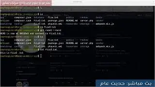 حل مشكلة الكهرباء مع المبرمجين - اسأل حول GIT