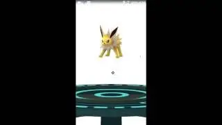Secret Way to Evolve Eevee into Jolteon in Pokemon Go