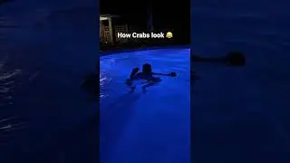 Don’t mess with this one! 😳😂 #shorts #bassfishing #crabbing