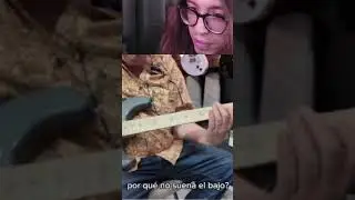 no 😔