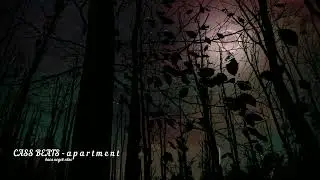 CASS BEATS - a p a r t m e n t