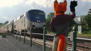 Valdor Fox waves to Amtrak's Lakeshore Limited.