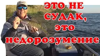 Правильная Приманка - Судак Гарантирован ▶ Fishing 2023 | 