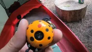 The We Want Ticks, We Show Our Kits, Alan Sh*ts Wild Camp
