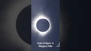 #canada #vlog #calgary #youtubeshorts #vlogger #toronto #eclipse