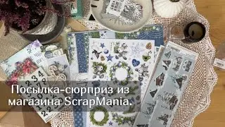 Посылка сюрприз из магазина ScrapMania. Скрапбукинг