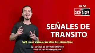 ¡Descubre las Señales de Tránsito en Florida! 🚦 Guía Completa 2024