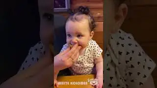 Babies Super Funny Moments : Try Not To Laugh ! | #117 | funny baby videos