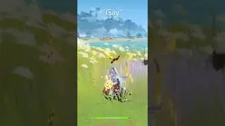 Vagrant Calls Ayaka Gay | Genshin Impact