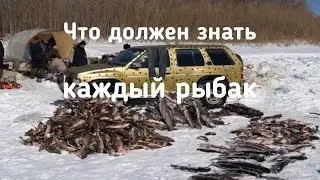 Что нужно знать каждому рыбаку в 2020 году. Нормы вылова, размер и штрафы.