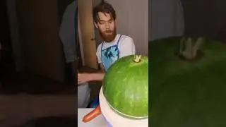 Hosting a watermelon search party later..