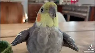 So excited for Christmas!