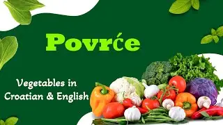 Povrće - Vegetables in Croatian & English