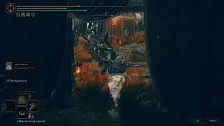 ELDEN RING Shadow of the Erdtree Español pt 1: Las Tierras Sombrias