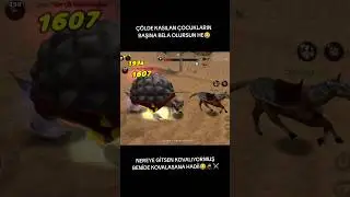 Royale2online  Dev çöl kaplumbası kesimi Bıçakcı ninja 