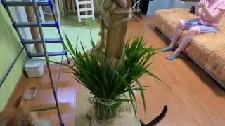 Праздничный тортик котам