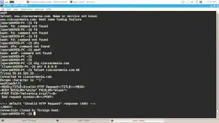 Тelnet - linux command line