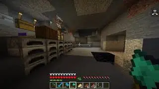 La casa Random Minecraft capitulo 5